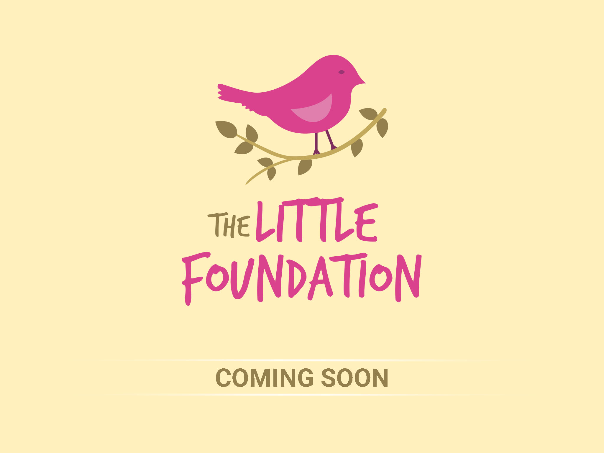 The Little Foundation